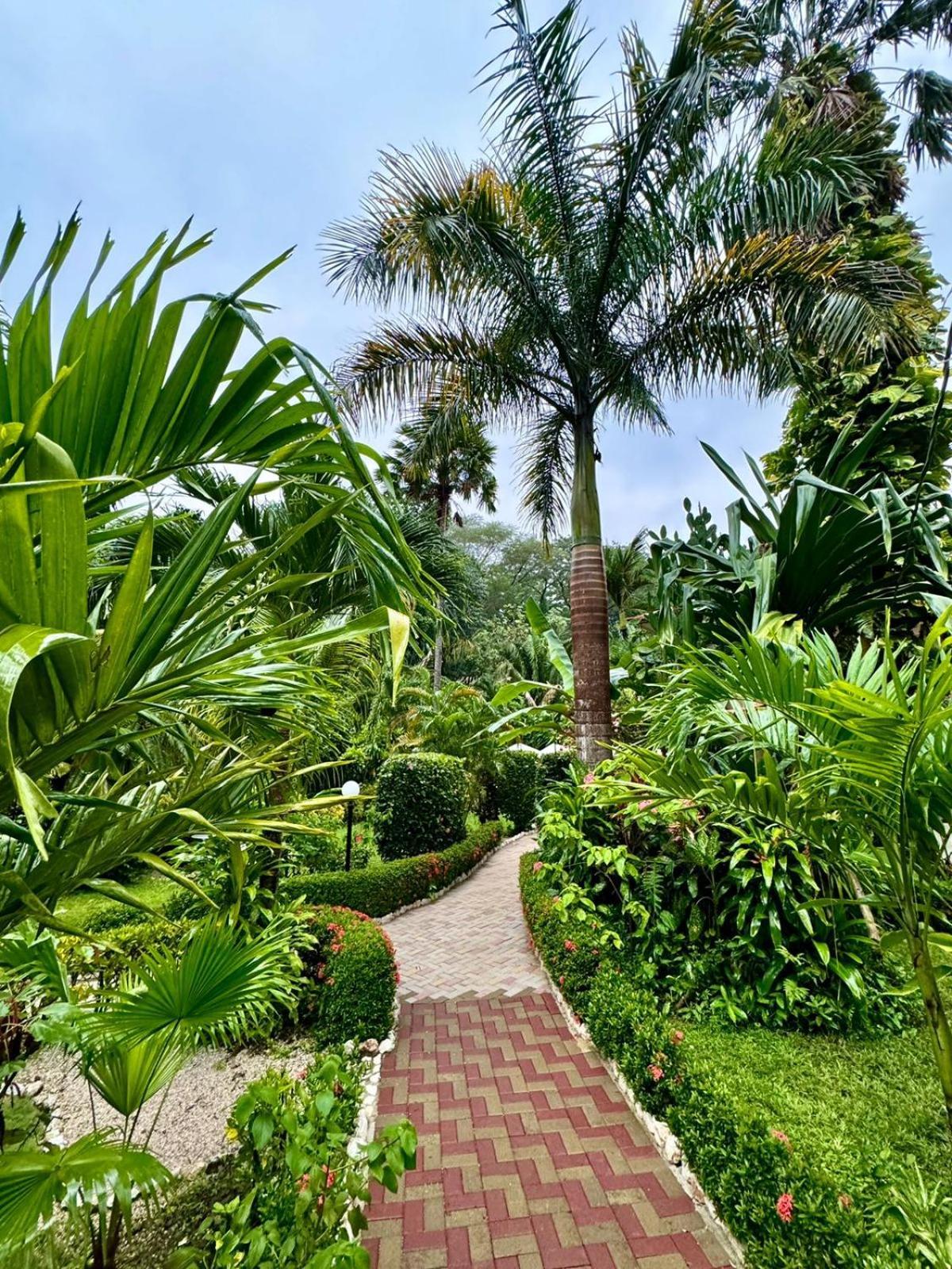 Hotel Belvedere Playa Samara Costa Rica Sámara Exterior foto